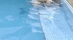 Hot bhabhi fucking hard with lover in swimming pool