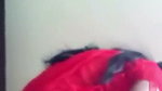 Hot girl showing her beauty to bf