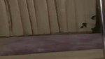 Neelam pole dancing  showing her hot figure