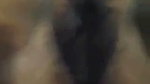 Riya showing her hairly pussy