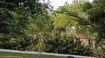Sexy bhabhi give Blowjob  pussy licking in swimming pool