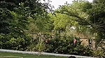 Sexy bhabhi give Blowjob  pussy licking in swimming pool