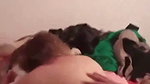 Indian Couple Hard Fucking
