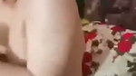 Shy Pakistani Wife Giving Handjob