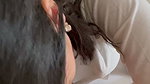 Bengali Girl Slxttyaisha Onlyfans PPVs solo 2