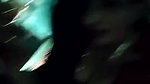 Desi Bhabhi Blowjob and Ridding Dick
