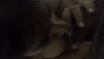 Beautiful Desi Big Booby Bhabhi Leaked 6clips marged