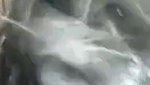 Beautiful Married Bhabi Sucking And Fucking 3clips Marged