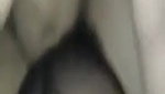 Beautiful Married Bhabi Sucking And Fucking 3clips Marged