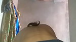 Cute Desi Girl Shows Boobs
