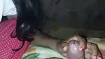 Beautiful Desi Girl Blowjob – Movies