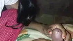 Beautiful Desi Girl Blowjob – Movies
