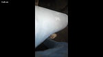 Fucking A Raand On Road Side – Movies