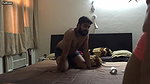 Jhanvi Imran Lucknow MMS Sex – Movies