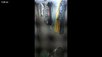Indian Bhabhi Homemade MMS – Movies