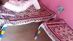 Indian Village Couple MMS – Movies