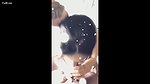 College Girl Bathroom Sucking – Movies