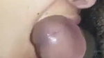 Desi Bhabhi giving nice deep Blowjob