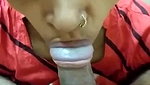 Desi Wife Nicely Sucking Cock – Movies