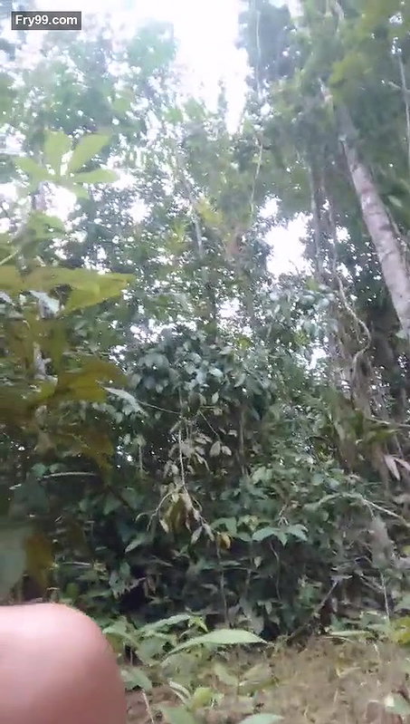 Village Boy Fucking Young Teen Girl at a River Bed while Camping (Must Watch)