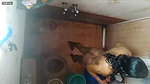 Indian Bhabhi Shaving Pussy – Movies