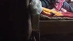 Beautiful Village Girl Boobs Sucking By Lover Captured