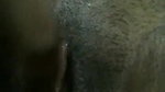 Sexy Bangla Teen Masturbation – Movies