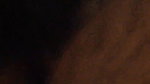 Tamil Wife Sucking Young Dick