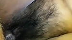 Her hairy pussy fucking