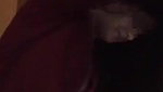 NRI Desi Teen Girl Sucking and Get Cummed On