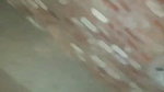 Desi village bhabi fuck for money