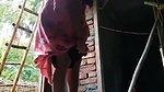 Bangali Girls Sex New Making Home with Halper