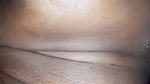 Horney Thick Wife Sucking Fatherinlaw’s Cock