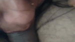 Beautiful sucker