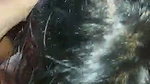 Beauty Desi Handjob blow dick expreence sucker