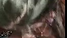 Sexy Desi Wife Sucking