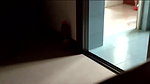 Fucking My Cousin In Kitchen – Movies