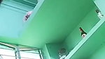 Tango Girl Roji Ka Full Hot Live