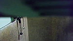 Next Bhabhi Filmed In Shower – Movies