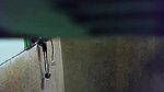 Next Bhabhi Filmed In Shower – Movies