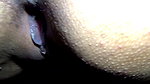 Desi Bhosri Ki Dhasu Chudai Hoot Video, Porn 4e