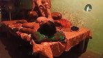 Village bhabhi hard fucked by young devar