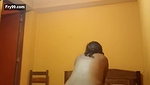 Chubby Bitch Blowjob Porn – Movies