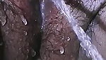 Desi village aunty hot pee