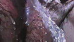 Desi village aunty hot pee