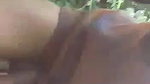 Desi sexy bhabi outdoor fucking