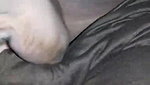 Lucknow School Teacher Boobs – Movies