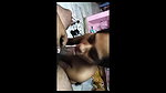 Horny Telugu Wife Tanuja – Movies