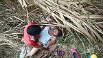 Indian Couple Sex In Fields – Movies