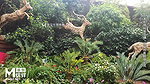 Trip to Singapore